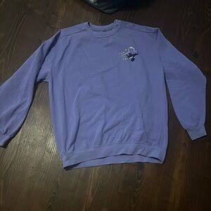 Disney Alden sweater